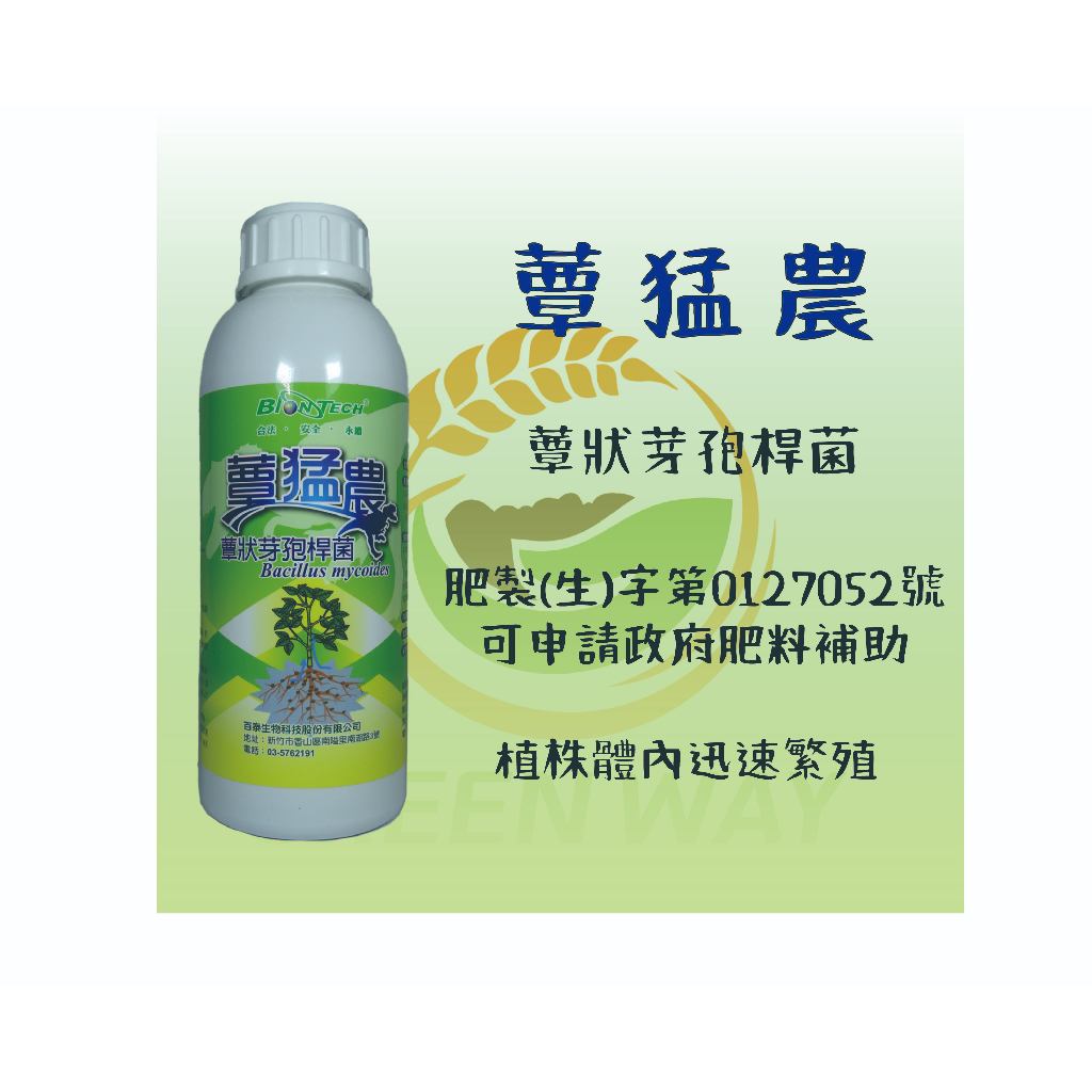 【現貨 發票】蕈猛農 蕈狀芽孢桿菌 微生物菌肥料 有機肥 1000ml