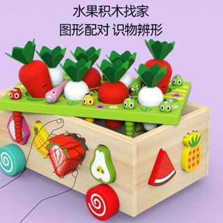 優品王-農場果園智力車 水果積木形狀配對 抓蟲拔蘿蔔智力盒 形狀積木找家 釣魚遊戲 拔蘿蔔玩具車 多功能 木製手推車