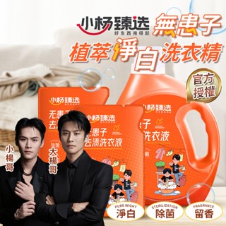 【臺灣快速出貨】無患子去漬洗衣精 小楊臻選 洗衣精 無患子洗衣精 濃縮洗衣精 洗衣粉 除臭 小楊哥洗衣精 柔軟精亮白