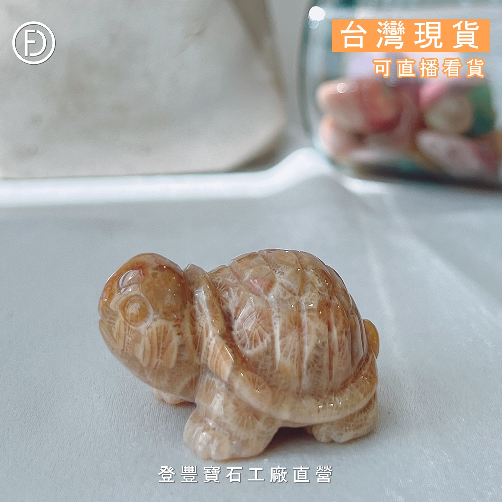 【登豐寶石工廠直營】珊瑚玉烏龜擺件