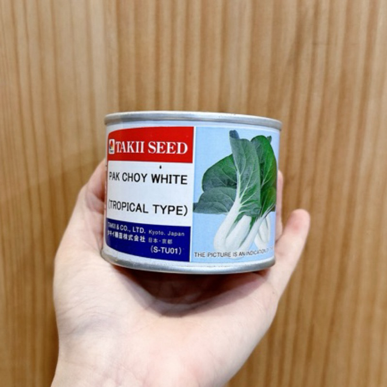 原包裝 1/4磅 熱帶品種 日本黑葉白菜種子 黑葉白菜種子 白菜種子 黑葉白種子 白菜種子 牛奶白菜種子 奶油白菜種子
