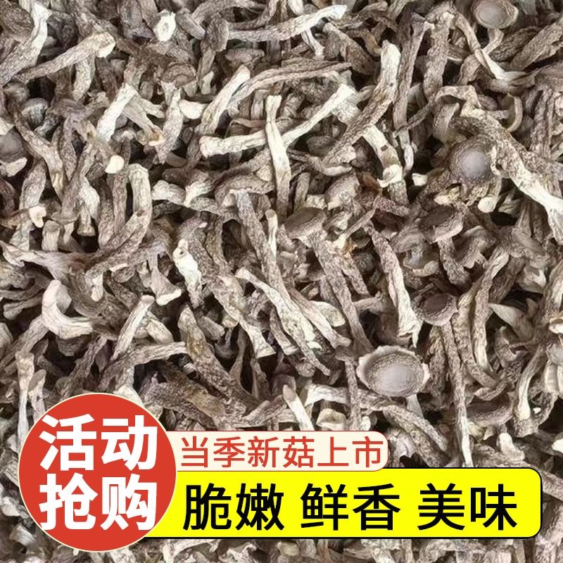 【新鮮無熏硫】500g鹿茸菇干貨當季新貨鹿耳菇毛重散裝批發價