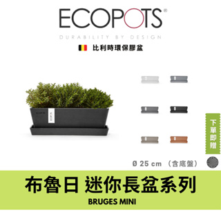 ECOPOTS比利時環保盆 布魯日Bruges 迷你系列 25cm含底盤 現貨 植栽 花盆Potti Pianta