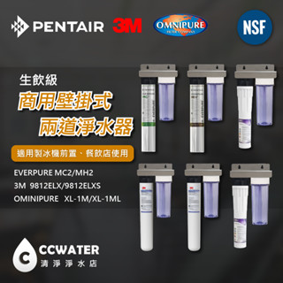 【清淨淨水店】商用款2道式大流量淨水器/製冰機前置/1道NSF-PP+主濾心/正4分管/生飲級淨水器2150元起。