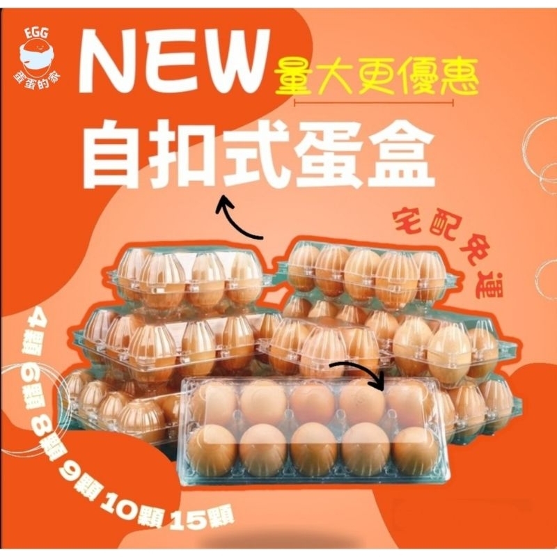 🔥宅配免運 現貨速出🔥台灣自扣式蛋盒 15格 10顆 9粒 8個 6枚 4入裝 雞蛋盒  鴨蛋盒 雞蛋收納盒 一次性蛋盒