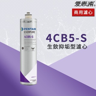 【思維康SWEETCOM】美國原廠愛惠浦 EVERPURE 4CB5S 生飲抑垢濾心 黑水保固公司貨