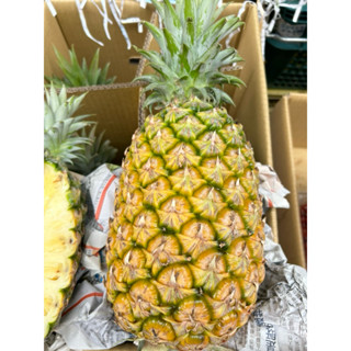 😋 絕對不咬舌 😋🔥衝評價全臺免運費宅配🔥🇹🇼臺南高大姐甜蜜蜜鳳梨🍍