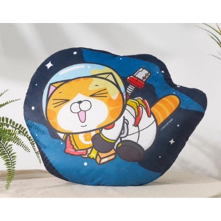白爛貓x熊嗨星 兩面圖案抱枕
