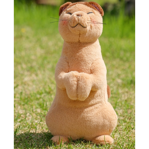 晴空日本小舖 預購 預計9月日本發貨 宮崎駿 橡子共和國 貓的報恩 拿多露 大娃娃
