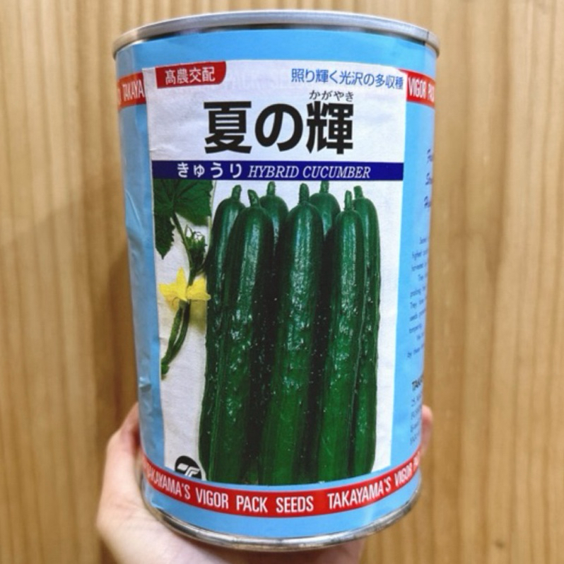 原包裝 1磅 約1.7萬粒 日本夏之輝小黃瓜種子 日本小黃瓜種子 小黃瓜種子 刺瓜種子 日本刺瓜種子 夏之輝小黃瓜種子