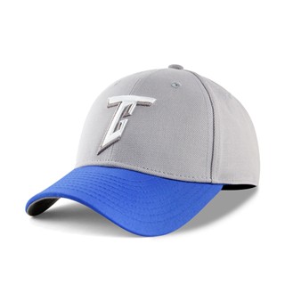 【CPBL】臺灣犬 歐告 Team Taiwan 亞冠賽 灰/藍 中華隊 彎沿 全封帽【ANGEL NEW ERA】