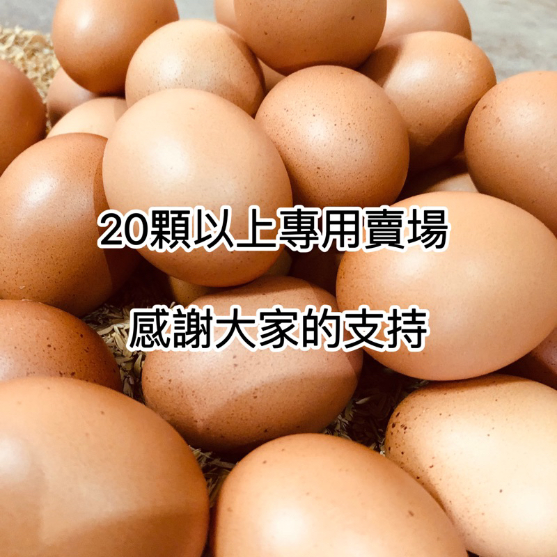 【EGGER.TW】小小農 台灣新鮮 無毒雞蛋又稱（靈芝蛋 葉黃素蛋 ）人道飼養 靈芝葉黃素蛋 吃的放心（附上檢驗報告）