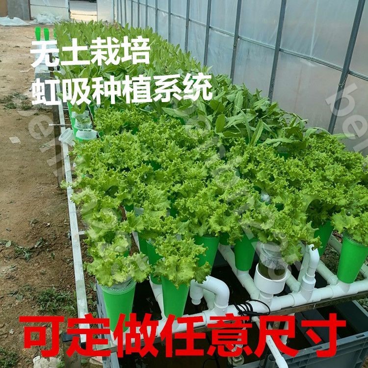 樂淘淘 魚菜共生虹吸設備陽臺生態免換水生態過濾系統蔬菜鮮花種植架/benbn225