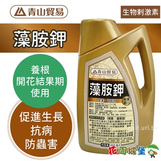 現貨 藻胺鉀 甜果肥 藻胺鉀肥 biostimulant 生物剌激素 浸種 移植根肥 促進生長 抗病防蟲害 【花園城堡】