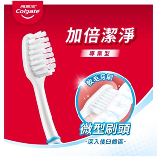 高露潔🌹專業型超小刷頭牙刷/2024/01製造