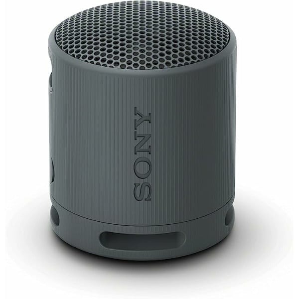 東京快遞耳機館 開封門市 SONY SRS-XB100 可攜式無線藍牙喇叭