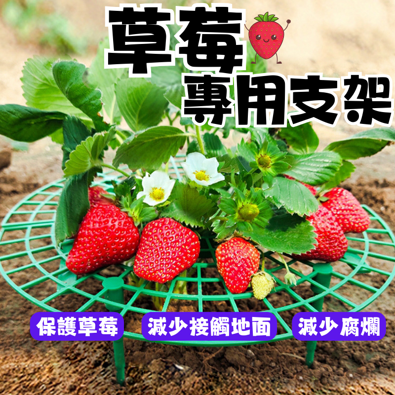 (嬌滴滴的草莓)草莓架 草莓支架 草莓固定架 水果架 草莓苗 植物支架  園藝工具 園藝器具