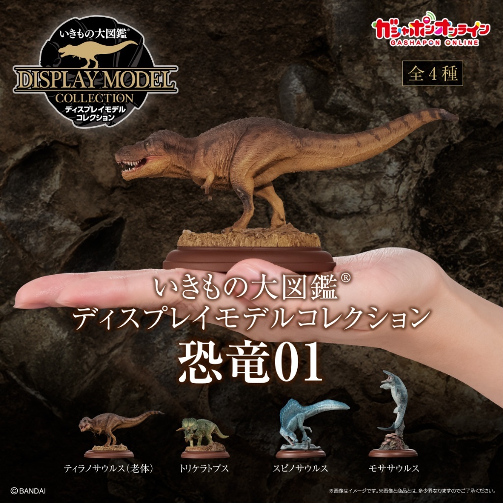 【ROBBIE SHOP】『現貨』生物大圖鑑展示模型-恐龍P1 BANDAI Premium 扭蛋 轉蛋