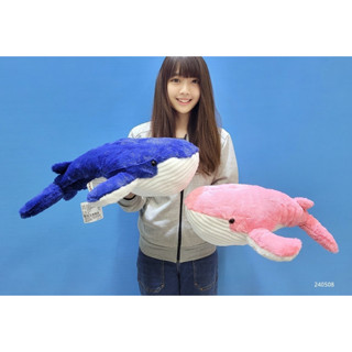 【鯨魚娃娃 藍鯨娃娃 50cm】鯨魚玩偶抱枕 藍鯨玩偶 鯨魚娃娃抱枕 藍鯨娃娃『喵的~娃娃屋』