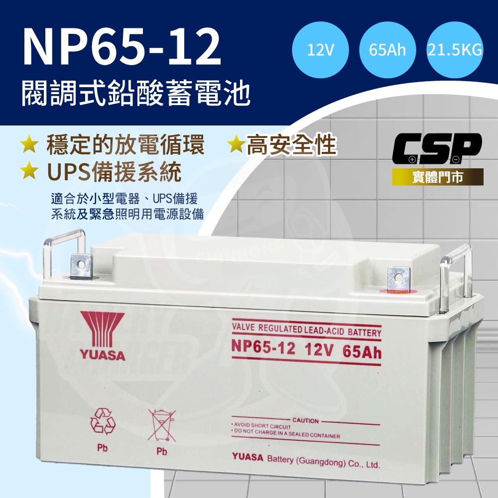 【YUASA】湯淺 NP65-12鉛酸電池12V65Ah 通訊機房 UPS電池 緊急設備 警報系統 安全系統 保全系統
