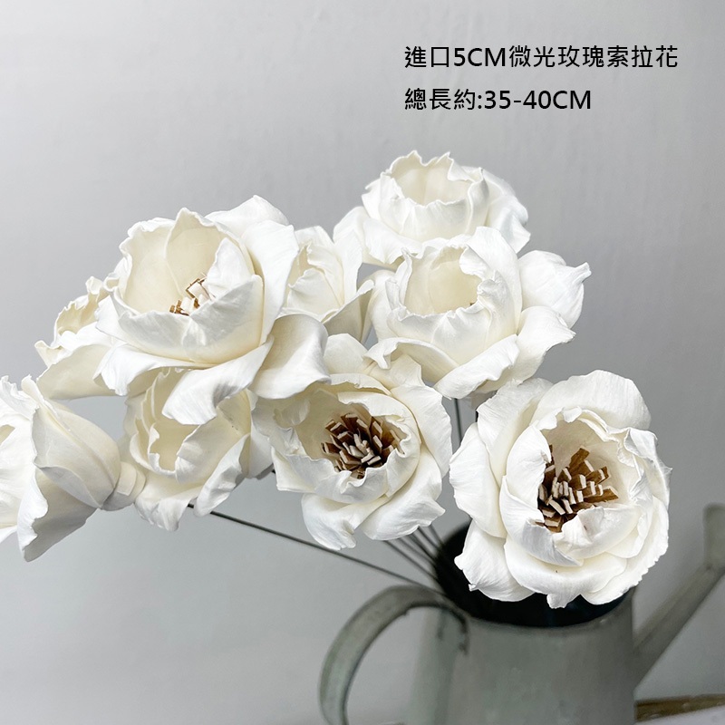 泰國進口5CM手工微光玫瑰花 不凋花材索拉花通草花太陽玫瑰-乾燥花圈 乾燥花束 花禮擴香 情人節花束捧花頭花