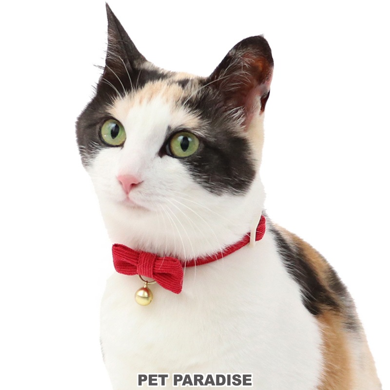 【PET PARADISE】寵物貓鈴鐺項圈 (S/M)｜PP 多款花色 2024 安全扣項圈  CAT幼犬也可用喔