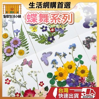 蝶舞系列 壓花 壓花書籤 壓花材料包 乾燥花書籤 乾燥壓花 書籤DIY 押花 壓花材料 壓花DIY 樹葉書籤 乾燥花