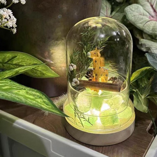 擴香石景觀防塵罩創意微景觀玻璃容器DIY永生花玻璃罩高透明玻璃分體瓶多肉植物苔蘚造景瓶分體式玻璃花瓶全透明玻璃盅金鐘罩