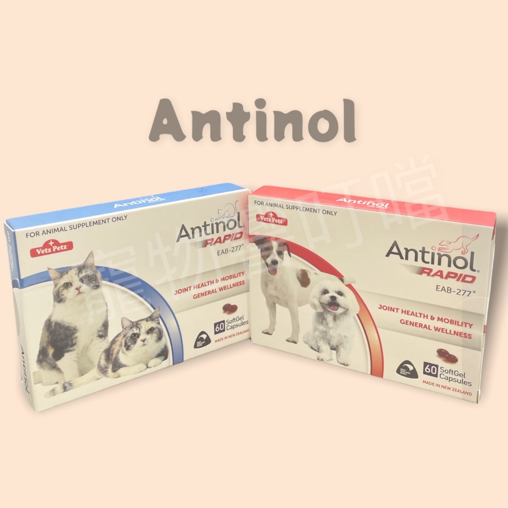 安適得 Antinol 60顆/盒 貓狗適用