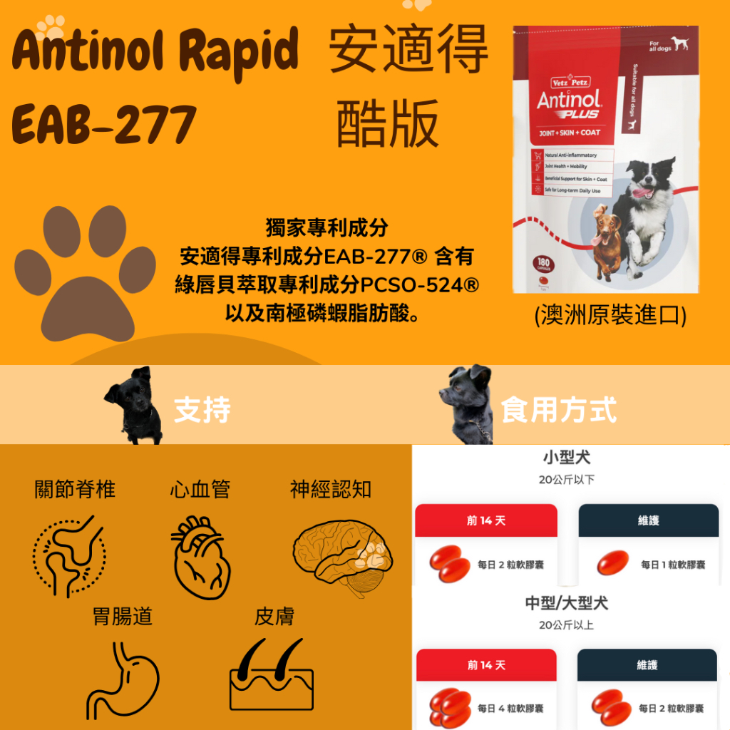 💕現貨 合法申報💕 安適得 Antinol Rapid EAB-277 180顆 關節保健 澳洲原裝 狗貓皆可
