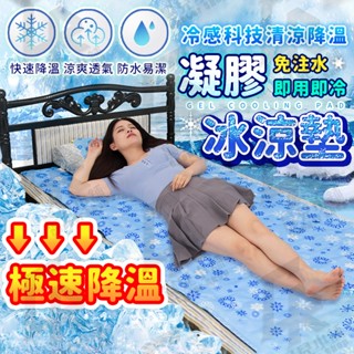 🔥限時促銷 最新製造🔥冰涼墊 冰涼水墊 涼墊 散熱墊 冰凝膠 冷凝水晶墊 降溫墊 冰絲寵物坐墊 枕頭墊 水袋 水床 冰墊