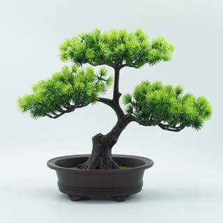 【LADUTA 拉布塔】新款仿真植物盆栽 雙層迎客松盆景擺件 客廳室內家居裝飾仿真花