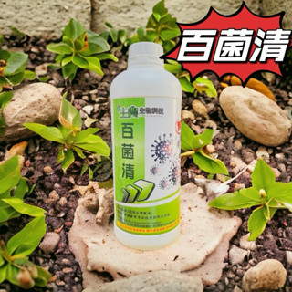 ［劍龍植選］百菌清無毒殺菌液 1L/500ml 土壤殺菌液 消毒液 播苗消毒 植物消毒液 園藝資材 土壤殺菌 介質殺菌
