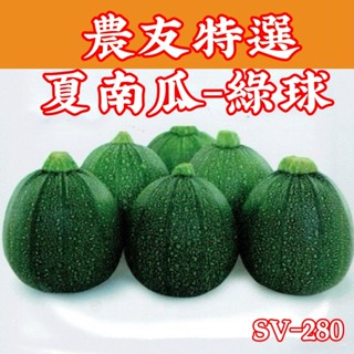 【現貨】 夏南瓜 Summer Squash (sv-280) 綠球 【蔬果種子】農友種苗特選種子 每包約10粒