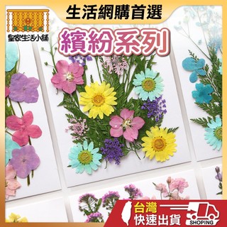 繽紛系列 壓花 壓花書籤 壓花材料包 乾燥花書籤 乾燥壓花 書籤DIY 押花 壓花材料 壓花DIY 樹葉書籤 乾燥花