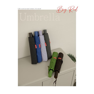 ☔️雨傘王 新竹光復店☔️ 《BigRed 太乾55》21吋自動傘 新品上市 超級防撥水 快乾傘小學生推薦