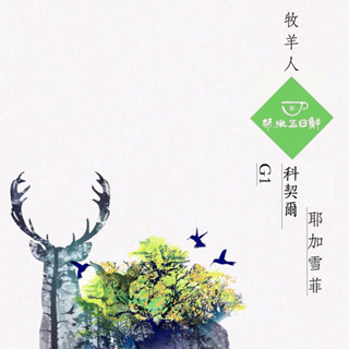 《桀米五日鮮咖啡×接單新鮮現烘》耶加雪夫 衣索匹亞 牧羊人 柯契爾/科契爾 碧洛亞G1 日曬 耶佳 227g 耶加雪菲