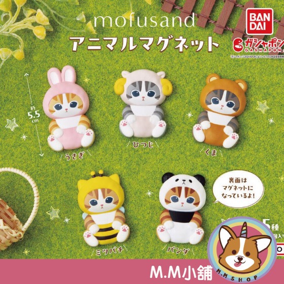 【M.M小舖】『現貨』 BANDAI 轉蛋 扭蛋 貓福珊迪動物磁鐵 貓福珊迪 磁鐵 動物 造型 貓咪 全5款