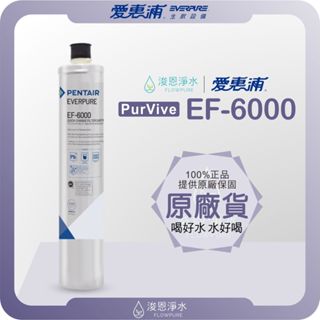 【原廠公司貨】愛惠浦 EF6000 濾心 ( 濾芯 愛惠浦濾心 愛惠浦濾芯 濾水器 淨水器 愛惠普 淨水器濾心 活性碳)