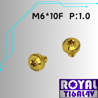【瘋螺絲】ROYAL 鈦合金螺絲★ M6*10F P:1.0 飛碟頭螺絲★64鈦/正鈦/鈦合金螺絲★出貨附發票★土豪金
