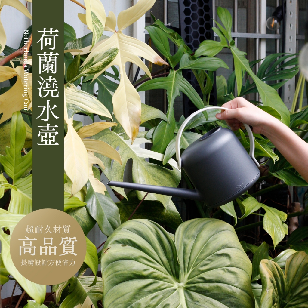 澆水壺荷蘭的價格推薦 - 2026年7月 | 比價比個夠BigGo