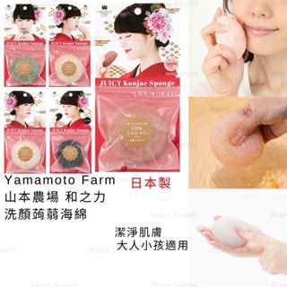 洗臉蒟蒻 日本製 現貨【Yamamoto Farm】山本農場 和之力 洗顏 蒟蒻海綿 禮盒款 洗臉蒟蒻 日本洗臉蒟蒻