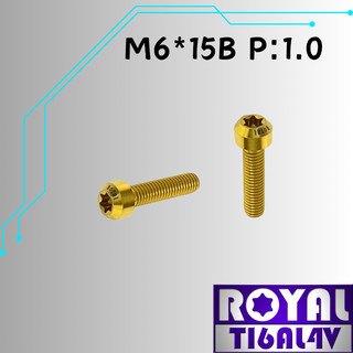 【瘋螺絲】ROYAL 鈦合金螺絲★ M6*15B P:1.0 錐形螺絲★64鈦/正鈦/鈦合金螺絲★出貨附發票 ★土豪金