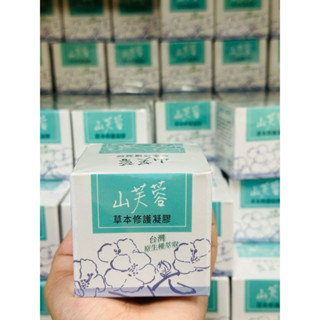 【熊熊購物網舖🧸】山芙蓉草本修護凝膠🛍