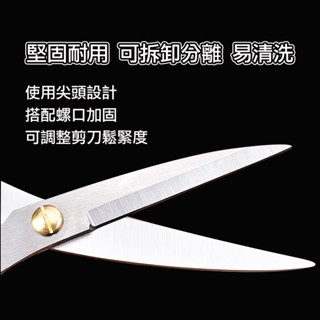 【萊悠諾生活】ezhome不鏽鋼強力料理剪/多功能家事用剪刀 (海鮮/肉品/工藝/裁縫/花藝適用)可調整鬆緊度料理用剪刀