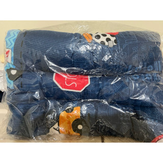 ✨全新現貨速發✨（🧢男寶幼兒；兒童小枕頭-午睡枕-午安枕