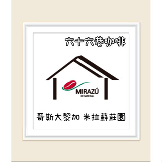 【六十六巷咖啡】哥斯大黎加｜塔拉珠｜米拉蘇莊園｜葡萄乾蜜處理｜淺中烘焙｜Catojo｜半磅｜耳掛包｜新鮮烘焙｜咖啡豆
