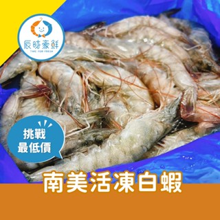 【辰時豪鮮】南美活凍白蝦 / 白蝦 / 蝦子 / 團購美食 / 水產批發 / 冷凍海鮮
