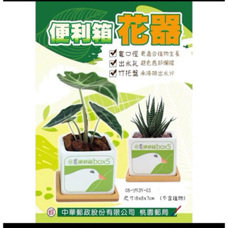 桃園郵侷限定 便利箱造型花器 包裹花器 便利箱盆栽