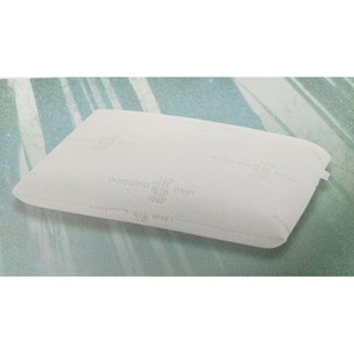 MONTAGUT 公司貨 夢特嬌 竹纖維乳膠枕 60×40×9cm/1.8KG
